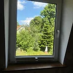 Akacja Łeba