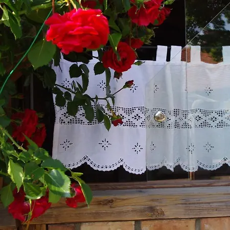 Akacja Bed & Breakfast Łeba