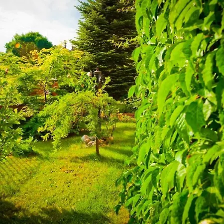 Bed & Breakfast Akacja